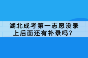 湖北成考第一志愿沒錄上后面還有補錄嗎？