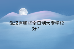 武漢有哪些全日制大專學校好？