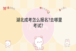 湖北成考怎么報(bào)名?去哪里考試？