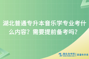 湖北普通專升本音樂學(xué)專業(yè)考什么內(nèi)容？需要提前備考嗎？