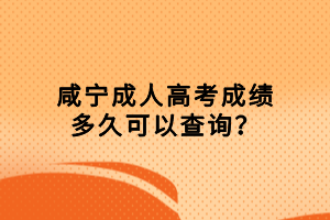 咸寧成人高考成績多久可以查詢？