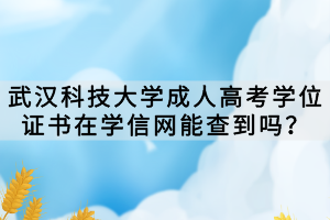 武漢科技大學成人高考學位證書在學信網(wǎng)能查到嗎？