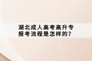 湖北成人高考高升專報(bào)考流程是怎樣的？