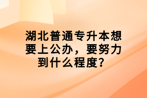 湖北普通專升本想要上公辦，要努力到什么程度？