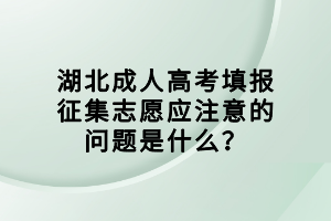 湖北成人高考填報(bào)征集志愿應(yīng)注意的問(wèn)題是什么？