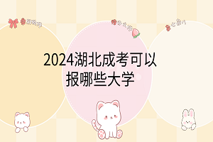 2024湖北成考可以報哪些大學