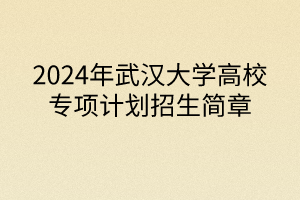 2024年武漢大學(xué)高校專項計劃招生簡章