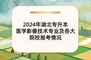 2024年湖北專升本醫(yī)學(xué)影像技術(shù)專業(yè)及院校報(bào)考情況