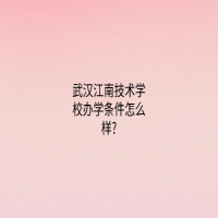 武漢江南技術(shù)學(xué)校辦學(xué)條件怎么樣?