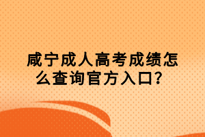 咸寧成人高考成績怎么查詢官方入口？