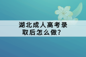 湖北成人高考錄取后怎么做？