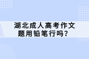 湖北成人高考作文題用鉛筆行嗎？