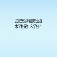 武漢光谷科技職業(yè)技術(shù)學(xué)校是什么學(xué)校？