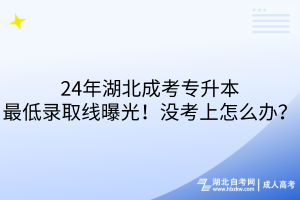 24年湖北成考專升本最低錄取線曝光！沒考上怎么辦？