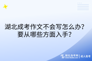 湖北成考作文不會寫怎么辦？要從哪些方面入手？