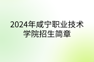 2024年咸寧職業(yè)技術(shù)學(xué)院成人高考招生簡(jiǎn)章