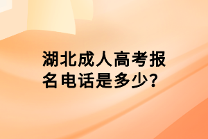 湖北成人高考報名電話是多少？