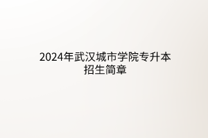 2024年武漢城市學院專升本招生簡章