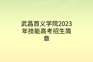 武昌首義學(xué)院2023年技能高考招生簡章