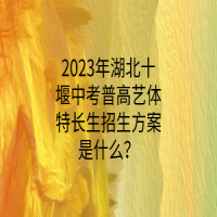 2023年湖北十堰中考普高藝體特長生招生方案是什么？