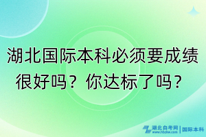 湖北國際本科必須成績很好嗎？你達(dá)標(biāo)了嗎？