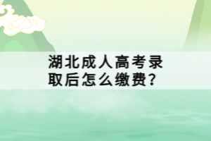 湖北成人高考錄取后怎么繳費(fèi)？