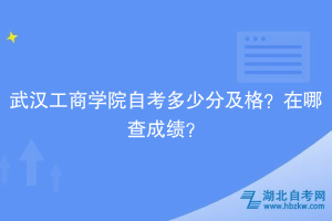 武漢工商學(xué)院自考多少分及格？在哪查成績(jī)？