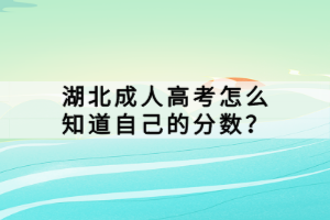 湖北成人高考怎么知道自己的分數(shù)？