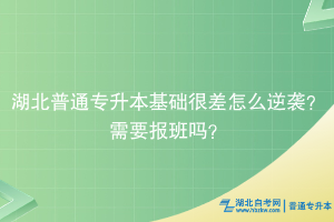 湖北普通專升本基礎(chǔ)很差怎么逆襲？需要報班嗎？