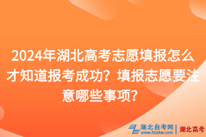 2024年湖北高考志愿填報(bào)怎么才知道報(bào)考成功？填報(bào)志愿要注意哪些事項(xiàng)？