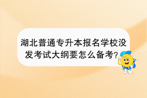 湖北普通專升本報名學(xué)校沒發(fā)考試大綱要怎么備考？