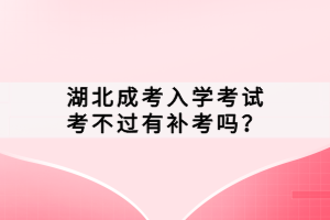 湖北成考入學(xué)考試考不過(guò)有補(bǔ)考嗎？