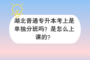 湖北普通專升本考上是單獨(dú)分班嗎？是怎么上課的？