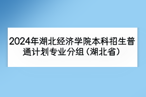 2024年湖北經(jīng)濟(jì)學(xué)院本科招生普通計(jì)劃專業(yè)分組（湖北?。?></a></div>
								<div   id=