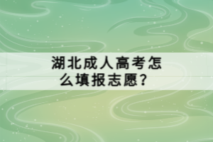 湖北成人高考怎么填報志愿？