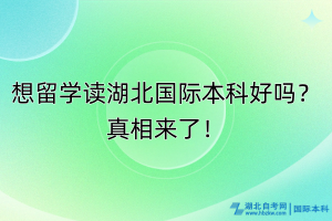 想留學(xué)讀湖北國際本科好嗎？真相來了！