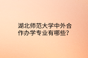 湖北師范大學(xué)中外合作辦學(xué)專業(yè)有哪些？