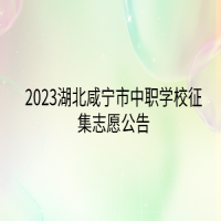 2023湖北咸寧市中職學(xué)校征集志愿公告