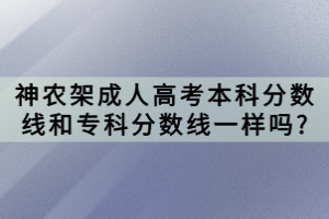 神農(nóng)架成人高考本科分?jǐn)?shù)線和?？品?jǐn)?shù)線一樣嗎?