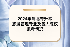 2024年湖北專升本旅游管理專業(yè)及各大院校報(bào)考情況