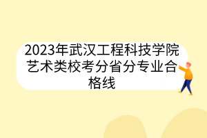 2023年武漢工程科技學院藝術類?？挤质》謱I(yè)合格線