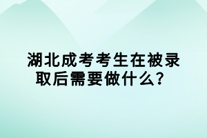 湖北成考考生在被錄取后需要做什么？