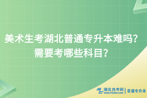 美術(shù)生考湖北普通專升本難嗎？需要考哪些科目？