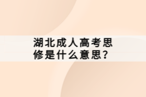 湖北成人高考思修是什么意思？