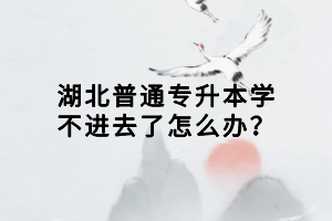 湖北普通專升本學(xué)不進去了怎么辦？