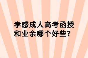 孝感成人高考函授和業(yè)余哪個(gè)好些？