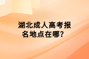 湖北成人高考報名地點在哪？