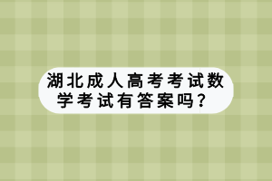湖北成人高考考試數(shù)學(xué)答案有答案嗎？