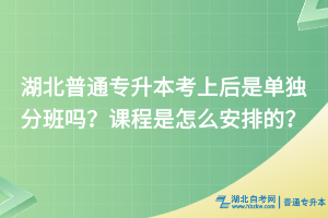 湖北普通專升本考上后是單獨分班嗎？課程是怎么安排的？