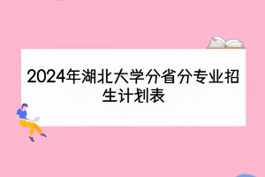 2024年湖北大學(xué)分省分專業(yè)招生計劃表